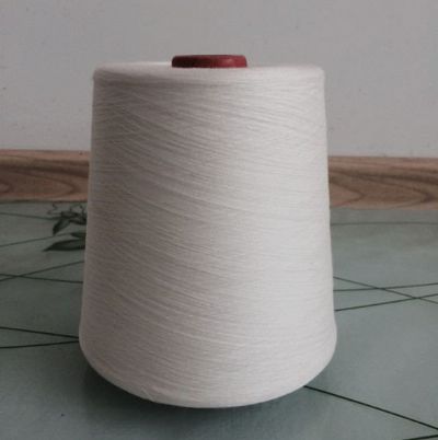 點擊查看詳細信息<br>標題：緊密賽絡紡人棉紗 閱讀次數(shù)：3242