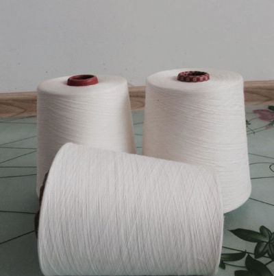點擊查看詳細信息<br>標題：環(huán)錠紡人棉紗 閱讀次數(shù)：2723