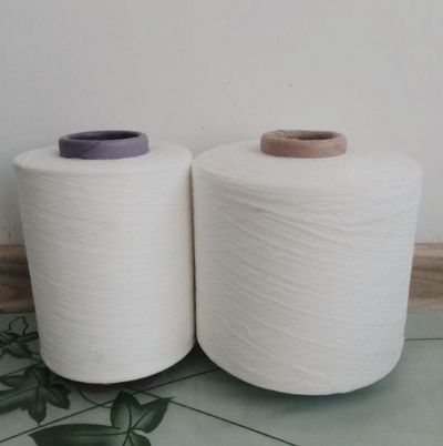 點(diǎn)擊查看詳細(xì)信息<br>標(biāo)題：渦流紡滌綸紗 閱讀次數(shù)：2461