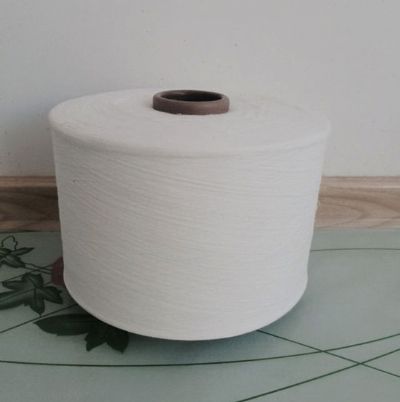 點(diǎn)擊查看詳細(xì)信息<br>標(biāo)題：氣流紡滌綸紗 閱讀次數(shù)：2330