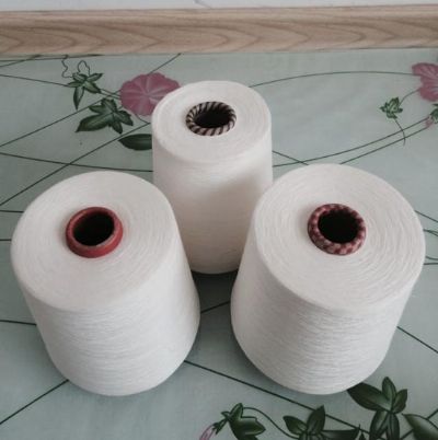 點擊查看詳細信息<br>標題：人棉強捻紗 閱讀次數(shù)：2480