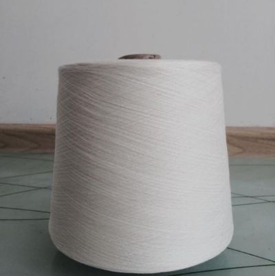 點擊查看詳細信息<br>標題：滌綸強捻紗 閱讀次數(shù)：2793