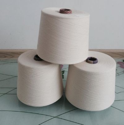 點擊查看詳細信息<br>標題：純棉強捻紗 閱讀次數(shù)：2936