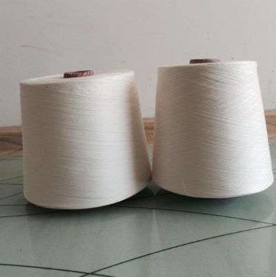 點擊查看詳細信息<br>標題：賽絡紡竹纖維 閱讀次數(shù)：2734