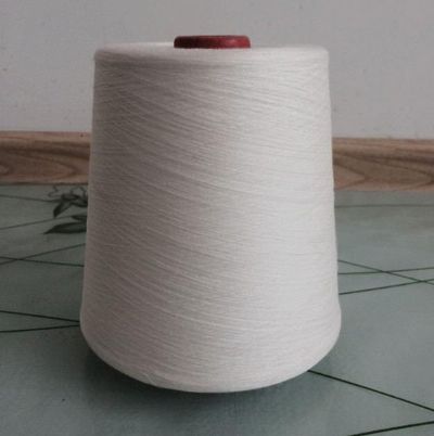 點擊查看詳細信息<br>標題：絹絲粘膠混紡紗 閱讀次數(shù)：3539