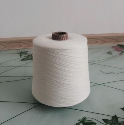 點(diǎn)擊查看詳細(xì)信息<br>標(biāo)題：膨體腈綸紗 閱讀次數(shù)：2810