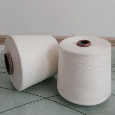 點擊查看詳細信息<br>標題：阻燃腈綸粘膠混紡紗 閱讀次數(shù)：4246