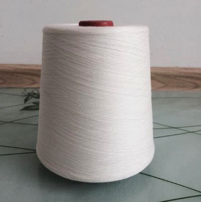 點擊查看詳細信息<br>標題：緊密紡純棉紗 閱讀次數(shù)：11816
