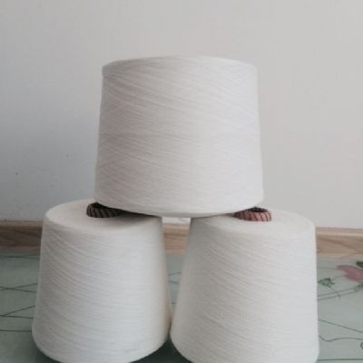 點(diǎn)擊查看詳細(xì)信息<br>標(biāo)題：仿大化滌綸紗 閱讀次數(shù)：4691