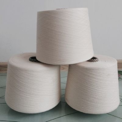 點(diǎn)擊查看詳細(xì)信息<br>標(biāo)題：棉粘混紡紗 閱讀次數(shù)：4683