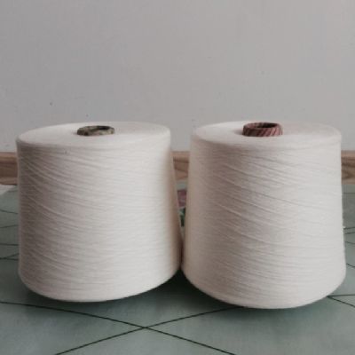 點擊查看詳細(xì)信息<br>標(biāo)題：阻燃腈綸紗 閱讀次數(shù)：4920