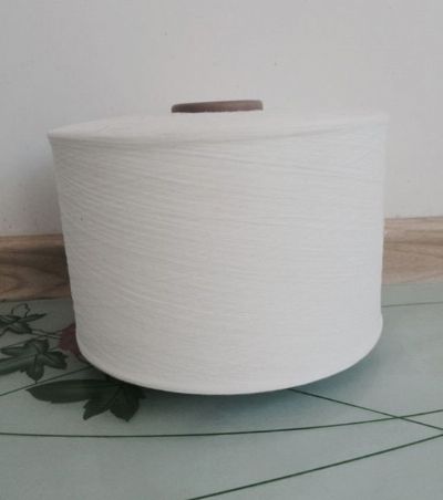 點(diǎn)擊查看詳細(xì)信息<br>標(biāo)題：噴氣紡滌綸紗 閱讀次數(shù)：9842