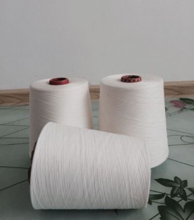 點(diǎn)擊查看詳細(xì)信息<br>標(biāo)題：環(huán)錠紡滌綸紗 閱讀次數(shù)：9724