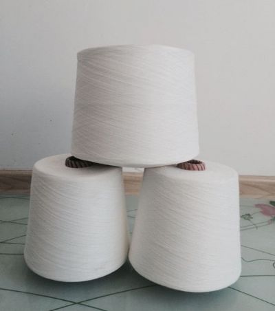 點擊查看詳細信息<br>標題：阻燃滌綸紗 閱讀次數(shù)：4585