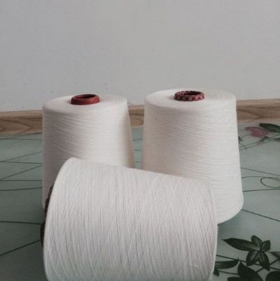點(diǎn)擊查看詳細(xì)信息<br>標(biāo)題：環(huán)錠紡麻灰紗 閱讀次數(shù)：967